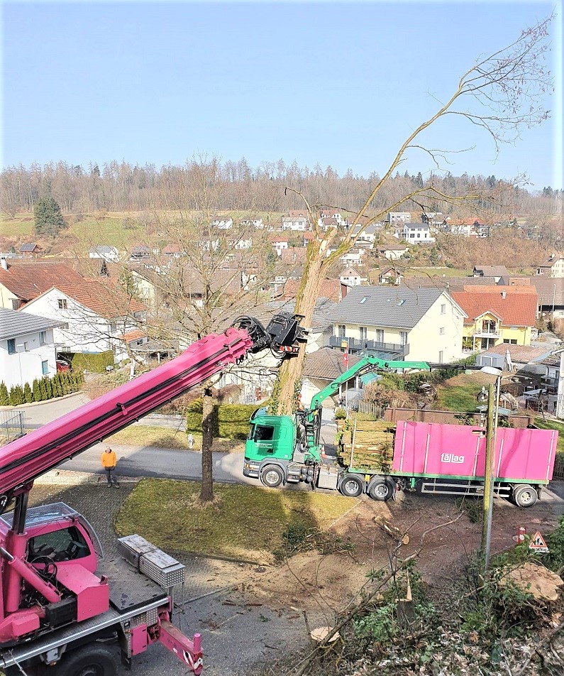 Einsatz für Tochterfirma Fällag