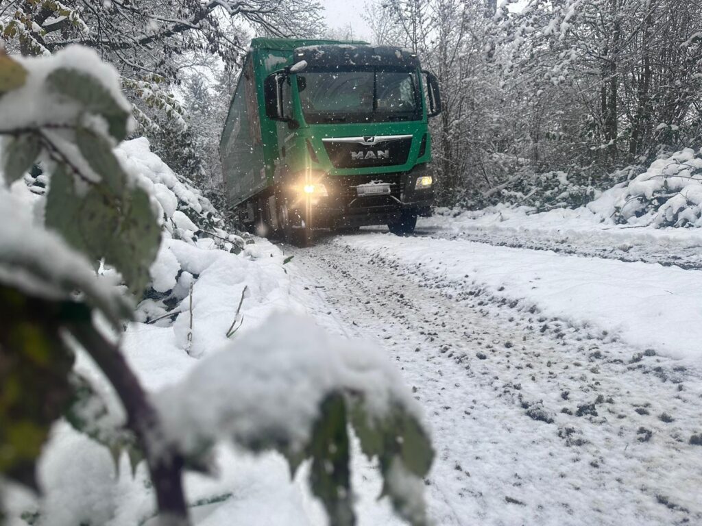 Alles rund um Holzenergie