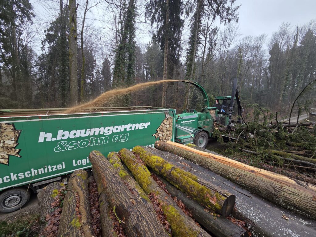 Energieholz aus der Region für die Region