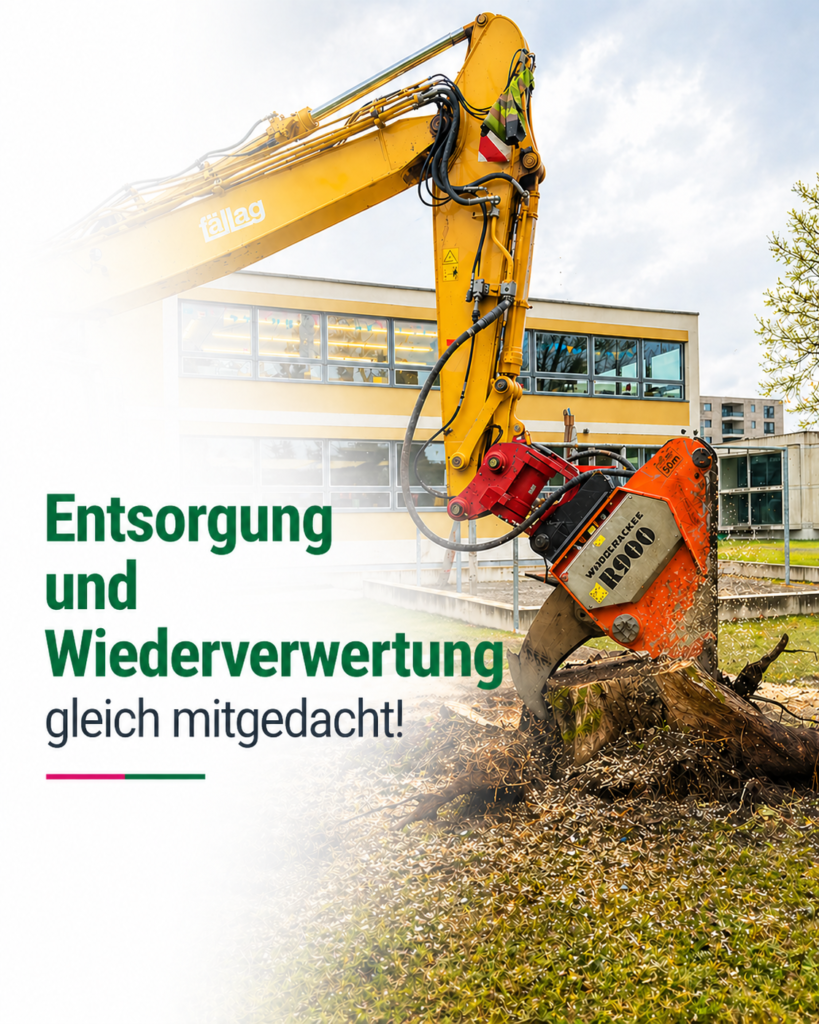 Wurzelstockentfernung sowie Entsorgung und Wiederverwertung